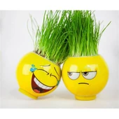 Emoji Şekilli Çim Adam 3 Adet Okul Öncesi Sonrası Etkinlik - 5