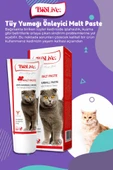Biolive AntiHairBall Kediler İçin Tüy Yumağı  Önleyici Paste 100gr Skt:05/2026 - 1