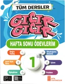 Üçgen 1.Sınıf Başarıya Yolculuk Yaprak Test + Hafta Sonu Ödevlerim (2.Dönem Konuları) - 3