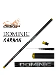 Portfish Dominic Göl Kamışı Carbon 360 cm - 1