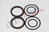 CARGO 1838-4136-3232 YAG SOGUTUCU ORING SETI (VITON) - 1