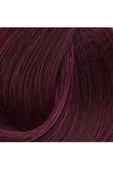Premium 4.20 Koyu Viyole - Kalıcı Krem Saç Boyası 50 g Tüp - 2