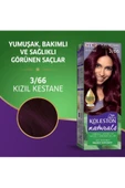 Naturals Saç Boyası Kızıl Kestane 3/66 - 2