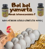 GEZEN TAVUK ÖZEL PREMİX (TANITIM KAMPANYASI) - 1