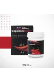CAPSİCUM CREAM FORT 40 GR - 1
