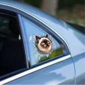 Fulcar Siamesse Araç Stickerı - 1