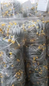 Apple Ipod Görünümlü Hassas Cep Terazisi Tartı 200 G Kapasite 0.01 Hassasiyet - 3