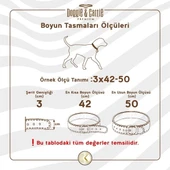 Doggie Comfort Deri Çivili Köpek Boyun Tasması Large Kırmızı 3.5x52-60 Cm - 5