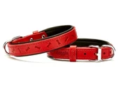 Doggie Comfort Deri Kemik Desenli Köpek Boyun Tasması Medium Kırmızı 2x35-40 Cm - 1