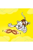 Dreamies Somonlu Kedi Ödül Maması 60 gr X 6 Adet - 3
