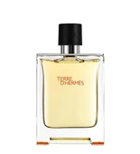 Hermes Terre DHermes Edt 100 ml Erkek Parfüm - 1