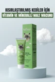 PufiVet Kısır Kediler İçin Multivitamin Malt Macun 100g | Kısır Kediler İçin Tüy Yumağı Önleyici - 1