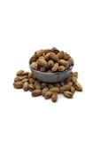 Yaşarbey Lüx Antep Fıstığı 500 gr (SEZONLUK-TAZE GÖNDERİM) - 1