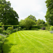 4'lü Star Karışım İthal Çim Tohumu - Grass Seed Mixture - 4'lü mix - 5 KG - 2