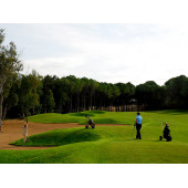 4'lü Star Karışım İthal Çim Tohumu - Grass Seed Mixture - 4'lü mix - 5 KG - 3