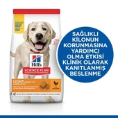 Hills Light Büyük Irk Tavuklu Diyet Köpek Maması 14 Kg - 2