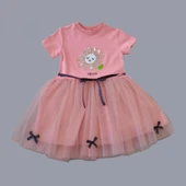 Pet Yapraklı Çiçek Nakışlı Astarlı Kız Bebek Tütü Elbisesi Gül Kurusu thumbnail 2