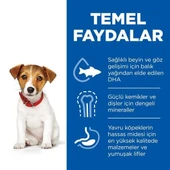 Hills Puppy Small & Miniature Tavuklu Küçük Irk Yavru Köpek Maması 3 Kg - 3