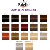 Palette Göz Alıcı Renkler Çikolata Kahve 3-65 Saç Boyası - 6