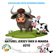NATUREL MANDA SÜTÜ KAYNATILMIŞ - 5