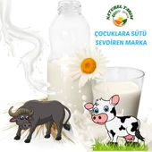 NATUREL MANDA SÜTÜ KAYNATILMIŞ - 3