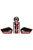 PROMOT TVS RAIDER TANK PAD SET 01 - 1