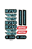 PROMOT RKS R250  Uyumlu  TASARIMLI EKİPMAN KASK MOTORSİKLET STİCKER SETİ 01 - 1