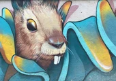 Grafitti Tavşan Temalı Duvar Kağıdı - 7