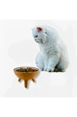 çömlek diyarı KEDİ MAMA-SU KABI - 3