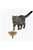 çömlek diyarı KEDİ MAMA-SU KABI - 2