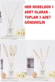 Periboia 3 Tek Adet 3 Model Aromaterapi Koku Dağıtıcı Rattan Şişe Ahşap Difüzör Çubuk (Spiral-Yaprak-Dalgalı) - 1
