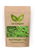 Naturşah Kurt Pençesi Toz-Öğütülmüş (Lycopodium Clavatum) 250 Gr - 1