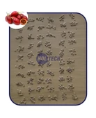 Tamarillo Meyvesi Tohumu 20 Adet ( Tamarillo Ağaç Domatesi ) - 2