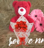 Sevimli 35 cm Peluş Ayı ile Premium Yumoş Kırmızı Peluş Ayıcık Buketi - 3