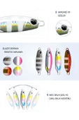 JAXEL  Leadfeed LF50-MC 5 cm, 10 gr, 15 gr, 20 gr, Jig Yem, Kurşun Jig, 3D, Suni Yem, Hologramlı - 4