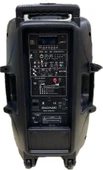 Gold Audio -pa 8815 EE 15" Taşınabilir Amfi - Çİft El Mikrofonlu - 2