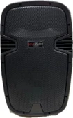 Gold Audio -pa 8815 EE 15" Taşınabilir Amfi - Çİft El Mikrofonlu - 1