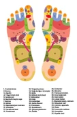 Ayak Masaj Aleti  Foam Roller - 2