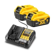 DEWALT DCD1007P2 5.0 Ah Çift Akülü XR Premium Kömürsüz Darbeli Matkap 169Nm - 5
