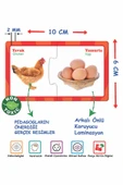 DIYTOY İlişki Kurma Eğlenceli Bulmacalar Eğitici Oyuncak Set Puzzle - 3