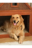Sofa Mimarlık Ahşap Büyük Irk Lüx Köpek Evi - 4
