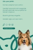 VETİGO Irigo Eye Care Kedi Ve Köpek Göz Bakım Jeli - 5 ml - 2
