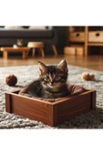 Mdizmir Kedi Evi ( Yatak Dahil Değildir ) Ahşap Kedi Yatağı Tablası Lüks Tasarım Md İzmir - 1