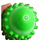 Sesli Köpek Diş Kaşıma Topu - 3