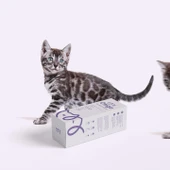 VETİGO Otigo Kedi Ve Köpek Kulak Bakım Solüsyonu - 100 ml Ear Care - 2