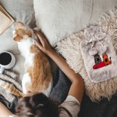 Biggdesign Cats Gri Peluş Sıcak Su Torbası, Yumuşak Kılıf, 2 L, Kedili Tasarım, 20x35, Su Sızdırmaz - 7
