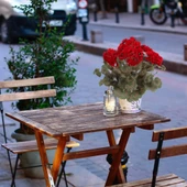 Nettenevime Yapay Çiçek Sardunya Demeti 40*25cm 1.Kalite KIRMIZI Koyu Balkon Çiçeği thumbnail 6