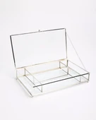 Dahlia Dekoratif Bölmeli Cam Kutu gümüş - 1