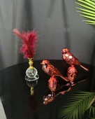 Meadow Gold Dekoratif Kuş ve Tüylük Seti Kırmızı - 1