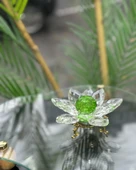 Elara Dekoratif Ayaklı Lotus gold - 3